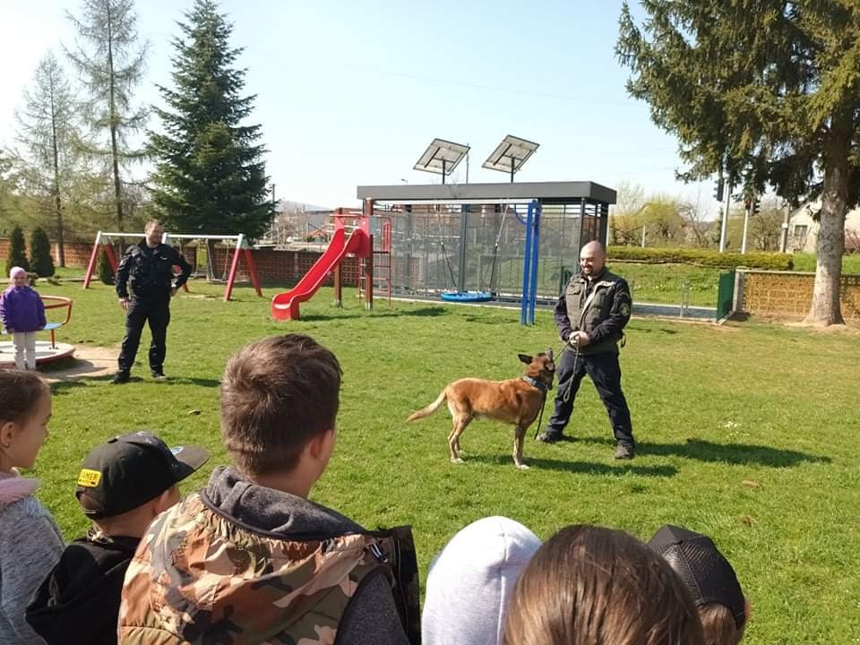 Výcvik  policajného psa - Obrázok 4