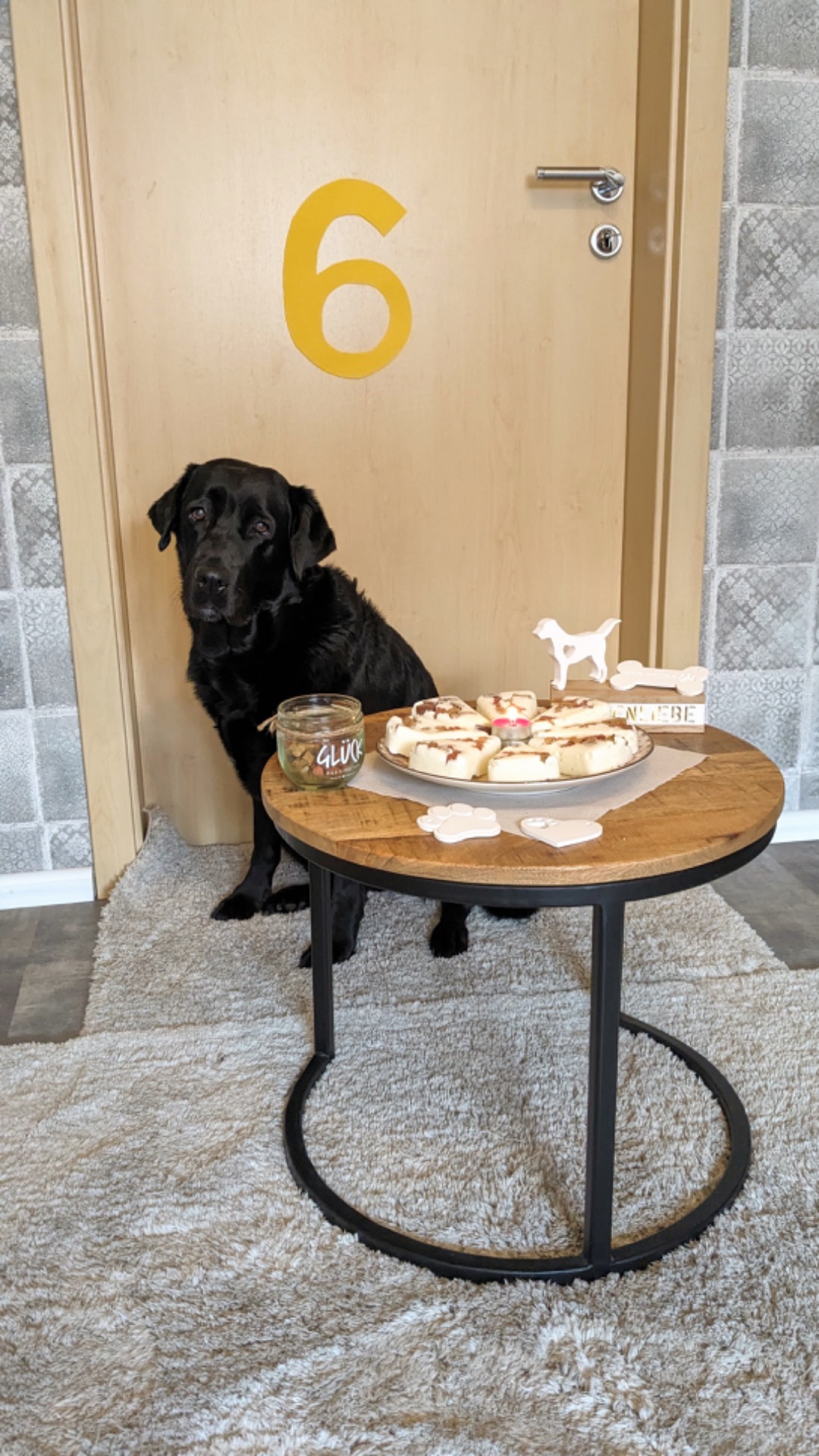 Ein Schulhund feiert Geburtstag - Bild 1