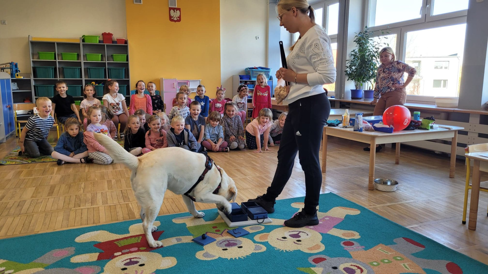 Spotkanie dzieci z dogoterapeutką i psem Luna - Obrazek 1