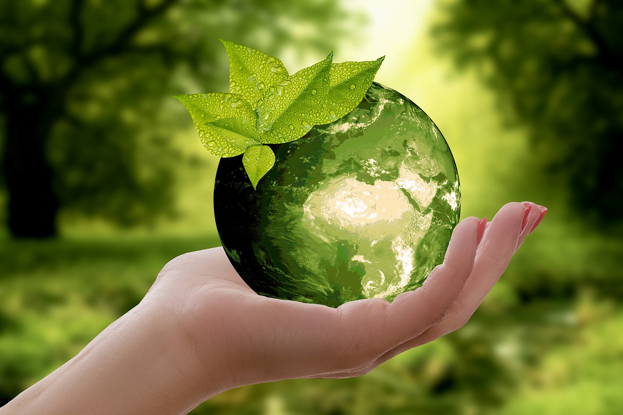 Natura Ziemia Zrównoważony Rozwój - Darmowe zdjęcie na Pixabay - Pixabay