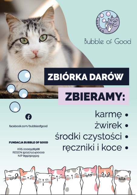 Zbiórka na rzecz fundacji dla kotów "Bubble of Good" - Obrazek 1
