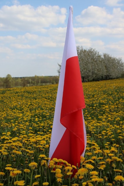 2 Maja - Dzień Flagi Rzeczypospolitej Polskiej - Obrazek 4
