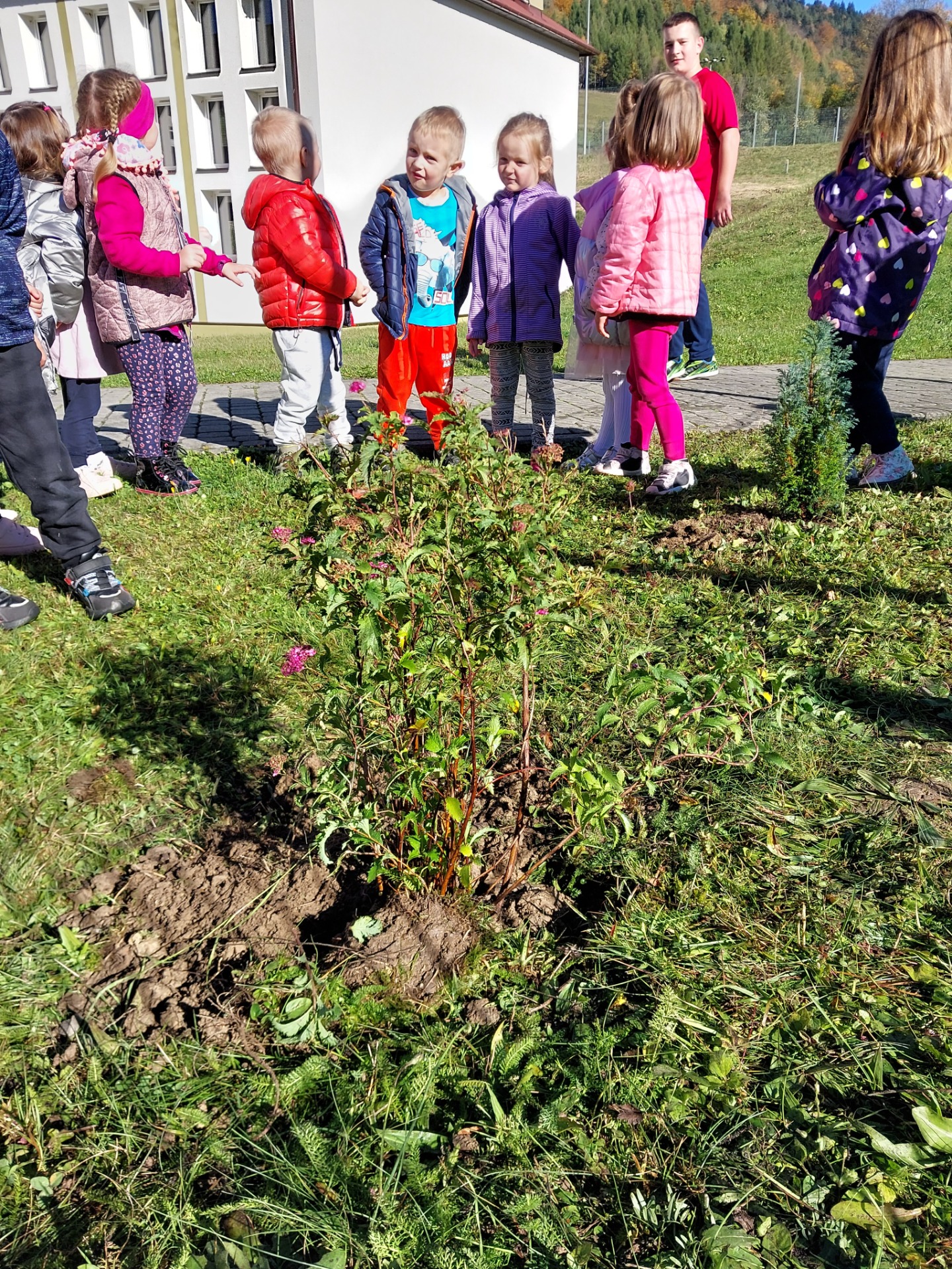 Przedszkolaki sadzą drzewa w ramach Ogólnopolskiego Dnia Drzewa - Obrazek 4