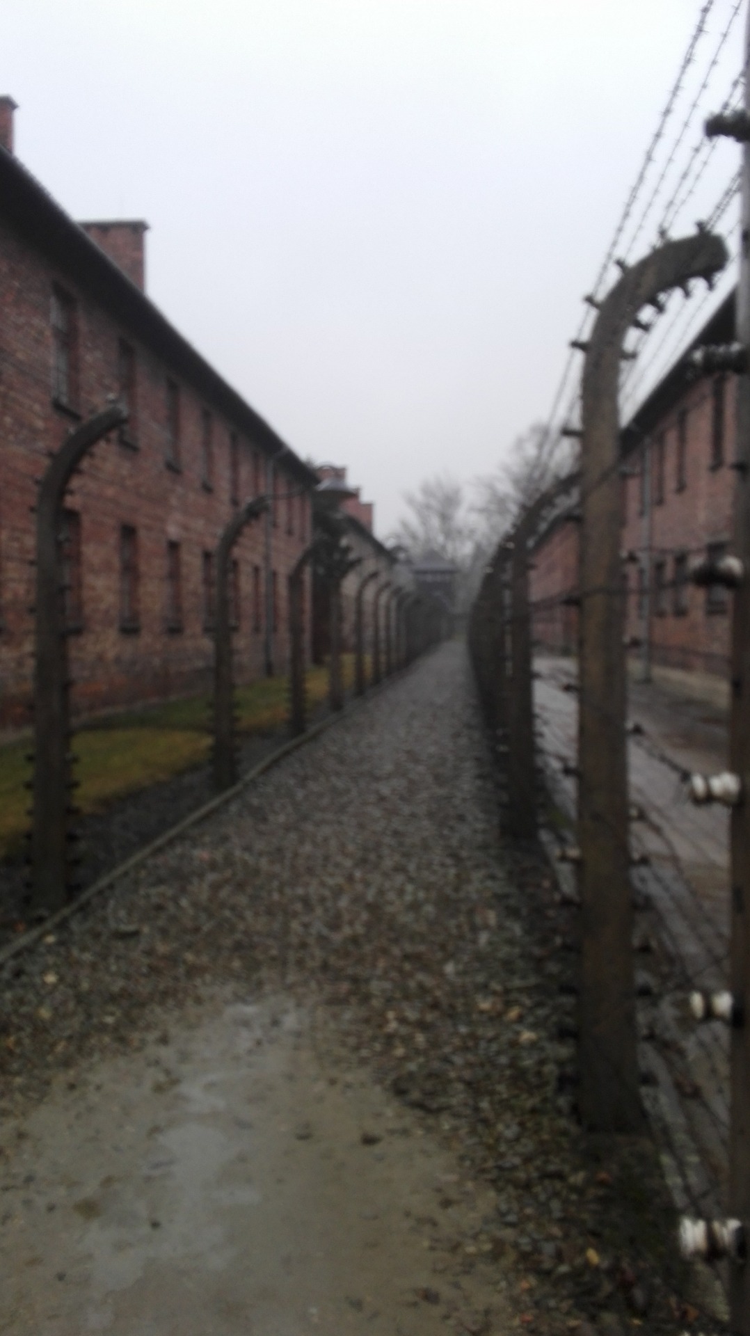Zúčastnili sme sa exkurzie v koncentračnom tábore Auschwitz-Birkenau - Obrázok 4