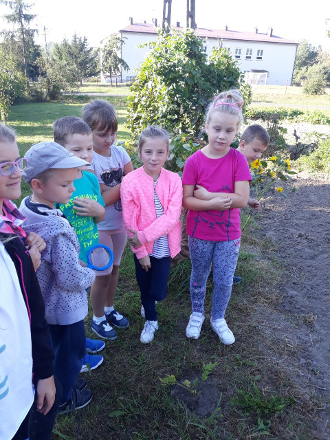 13.IX.2018 – klasa 1- 2 zajęcia przyrodnicze w ogrodzie warzywnym - Obrazek 3