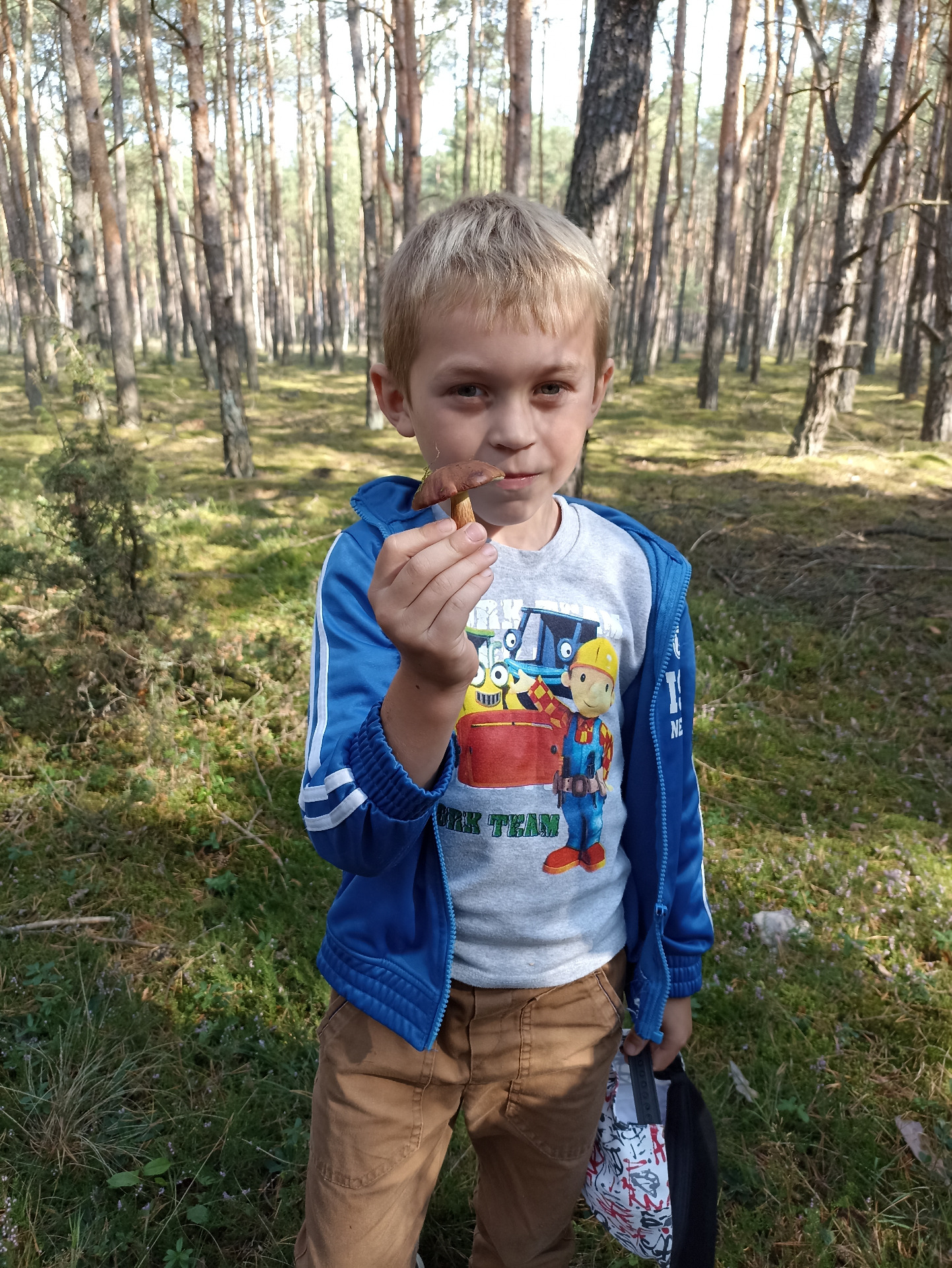 Jesienna wycieczka sześciolatków do lasu  - Obrazek 3