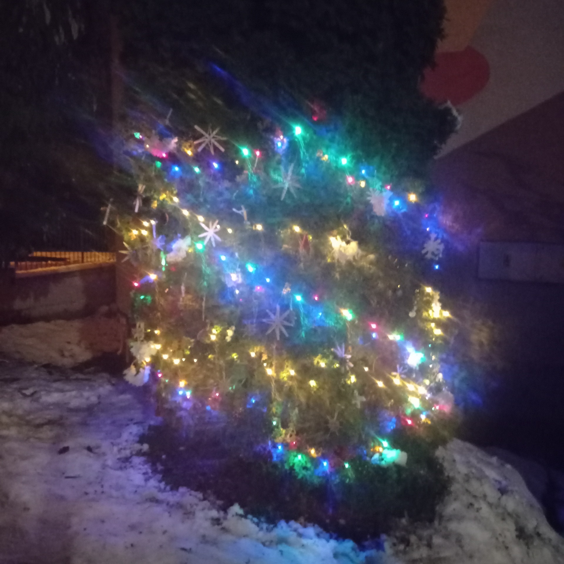 Vianočný stromček - Obrázok 6