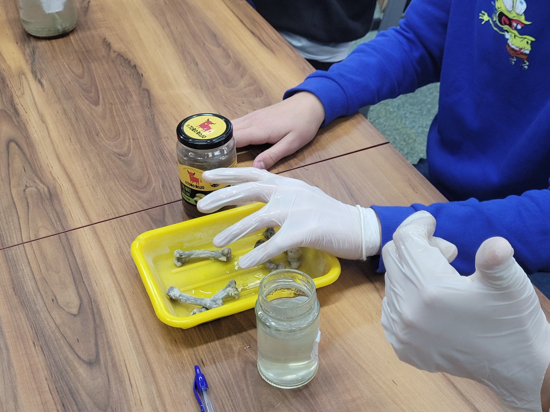 Uczniowie wykonują eksperymenty z małymi kośćmi. 