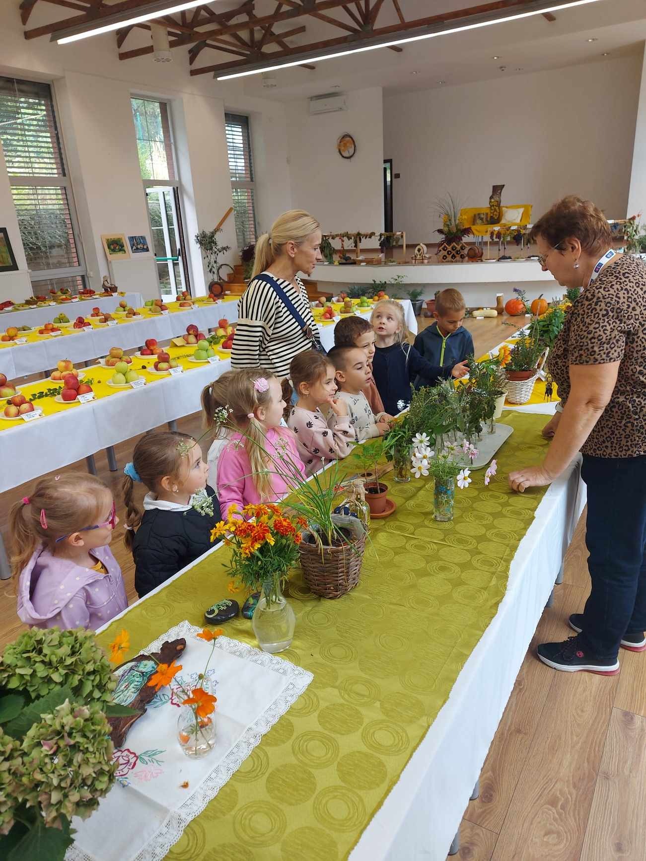 Výstava ovocia a zeleniny v DK Zobor. - Obrázok 1