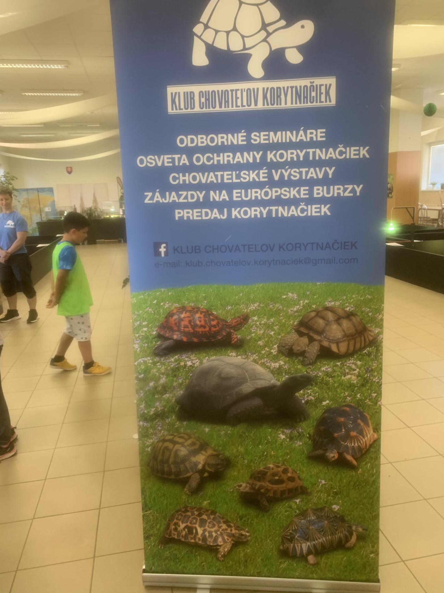 Výstava korytnačiek - Obrázok 2