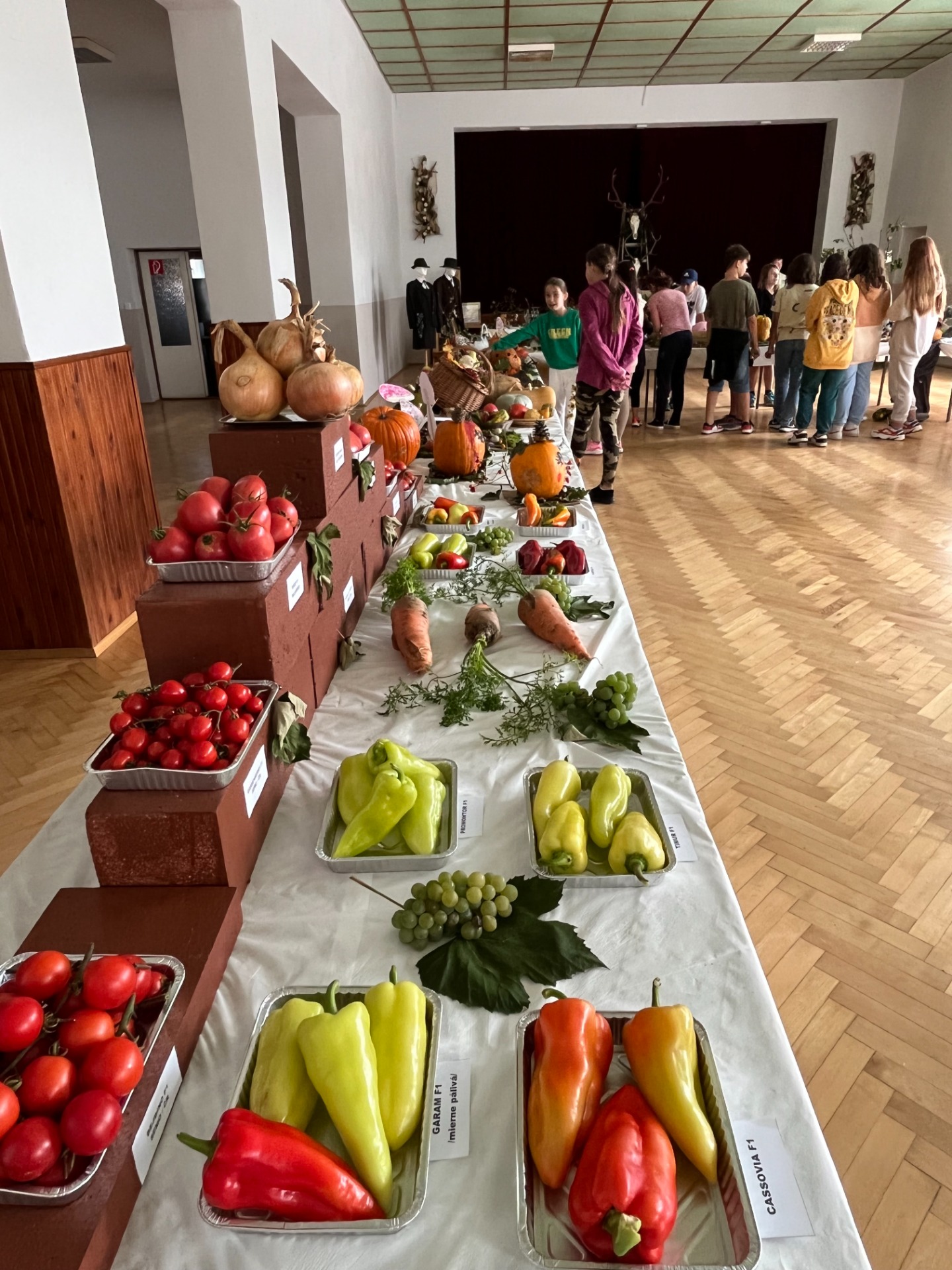 Výstava jesenných plodov - Obrázok 2