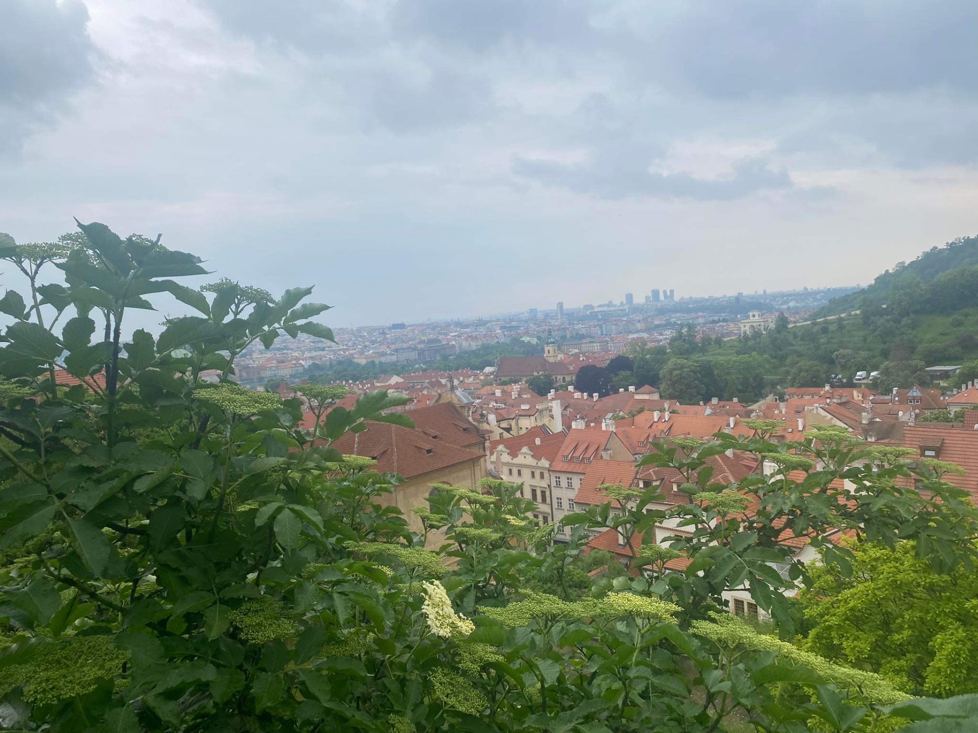 Wycieczka do Wrocławia i Pragi 